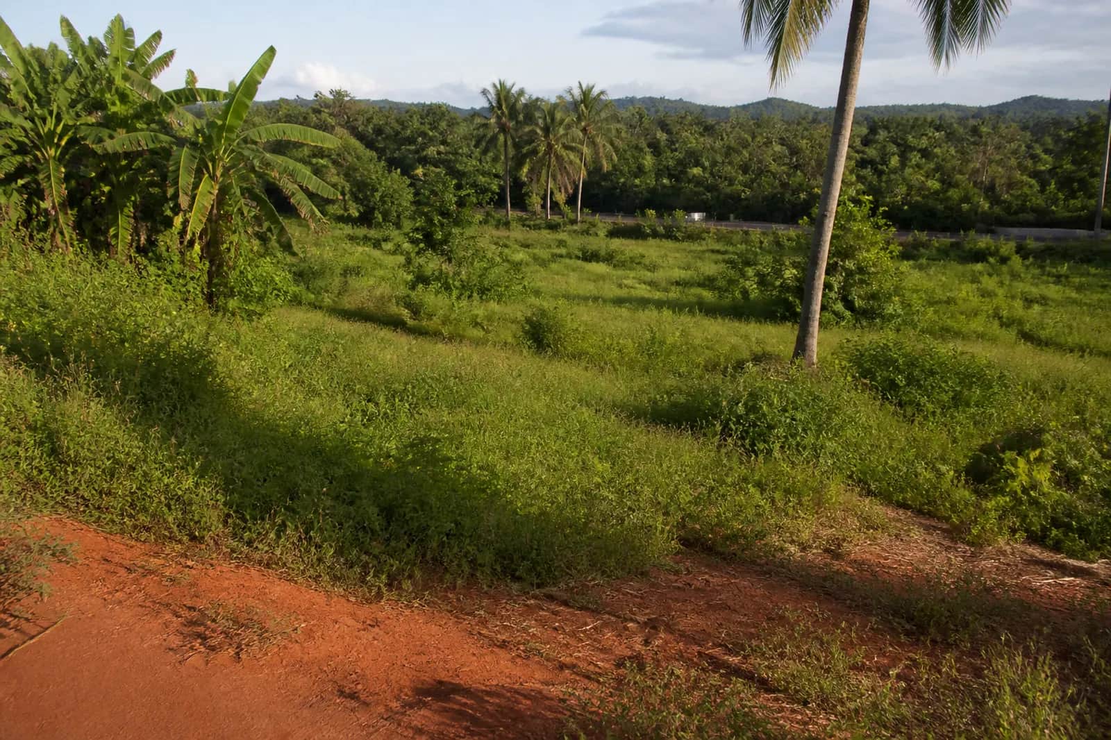 Assagao, North Goa — prime land with an open-field outlook, available on request.