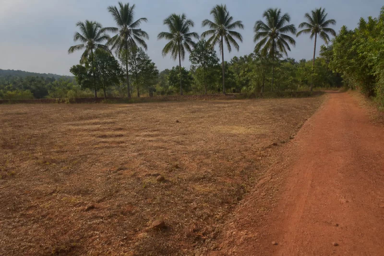 Ucassaim, North Goa — old-settlement land, available on request.